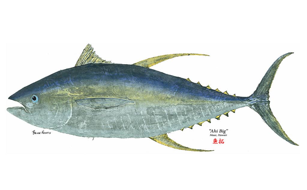 Gyotaku fish printing yellowfin tuna
