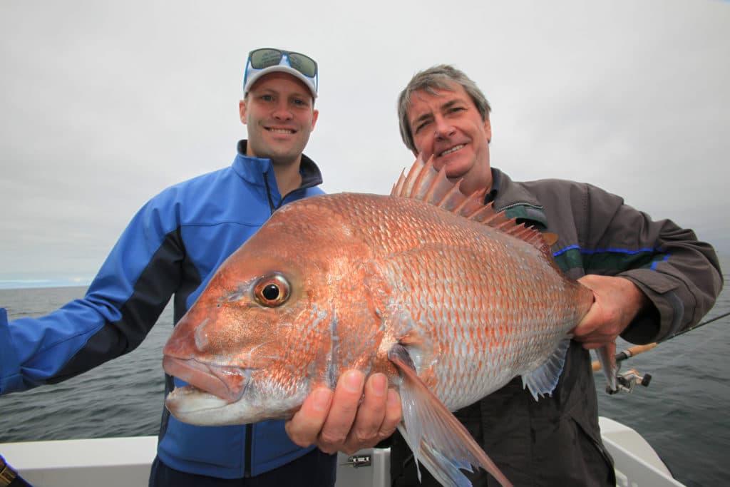 australian red snapper or squirefish