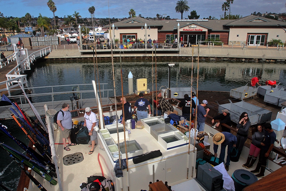 San Diego Fisherman's Landing Alijos Rocks long-range fishing trip