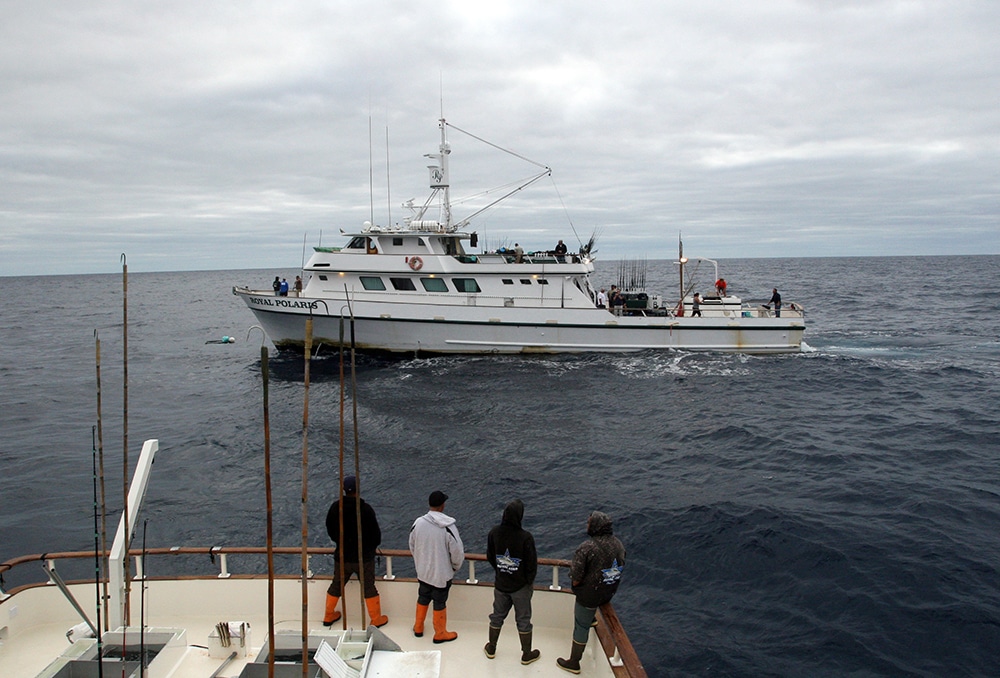 Royal Polaris Alijos Rocks long-range fishing trip