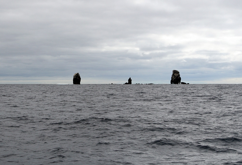 Alijos Rocks long-range fishing trip