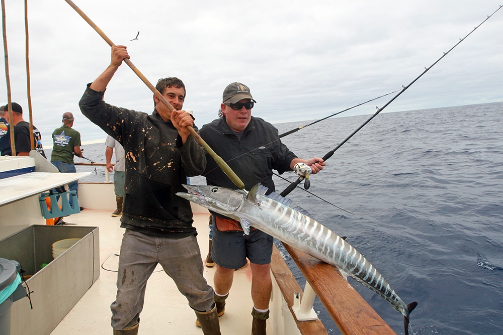 gaffing wahoo fish Alijos Rocks long-range fishing trip