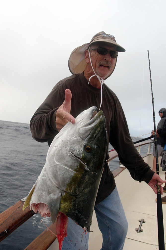 yellowtail bitten by shark Alijos Rocks long-range fishing trip