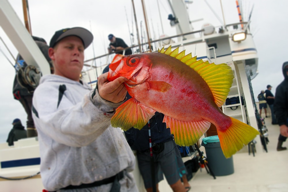 grin and grab big eye Alijos Rocks long-range fishing trip