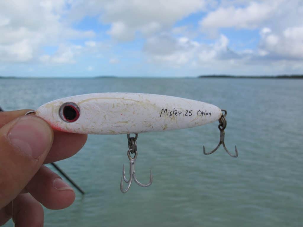 The author's favorite small stickbait