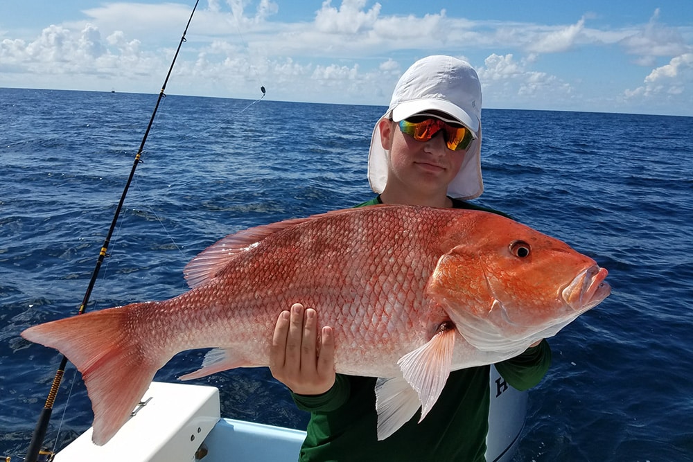 red snapper in Gulf of Mexico