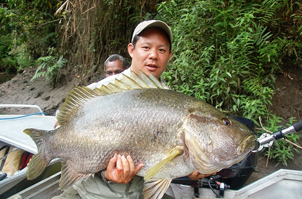 anglers-choice-yip-papuan-black-snapper.jpg