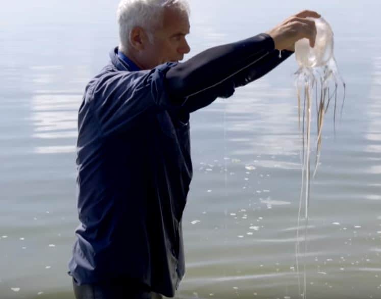 Jeremy Wade holding a box jelly