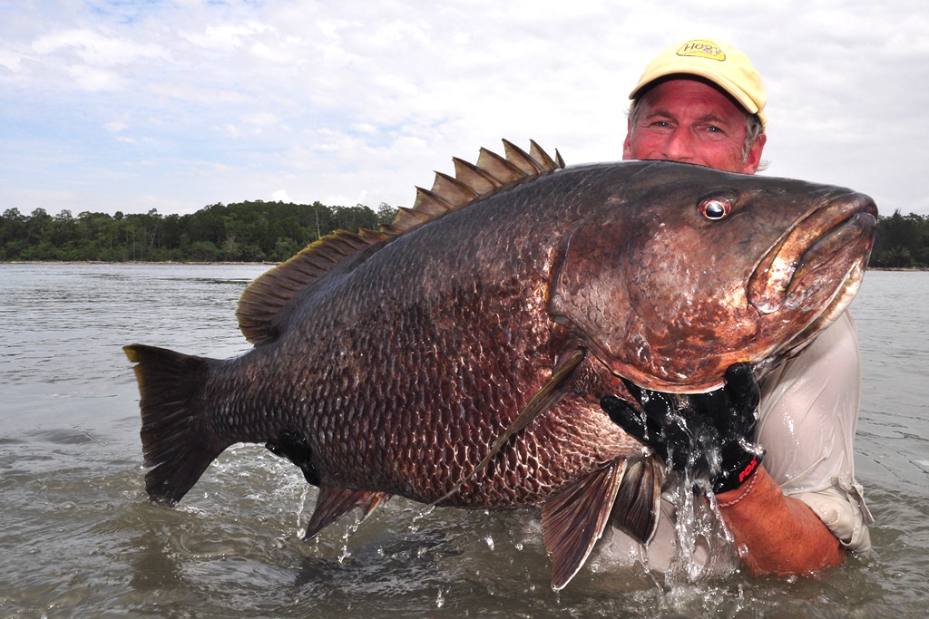 toughest game fish inshore - Papuan black snapper