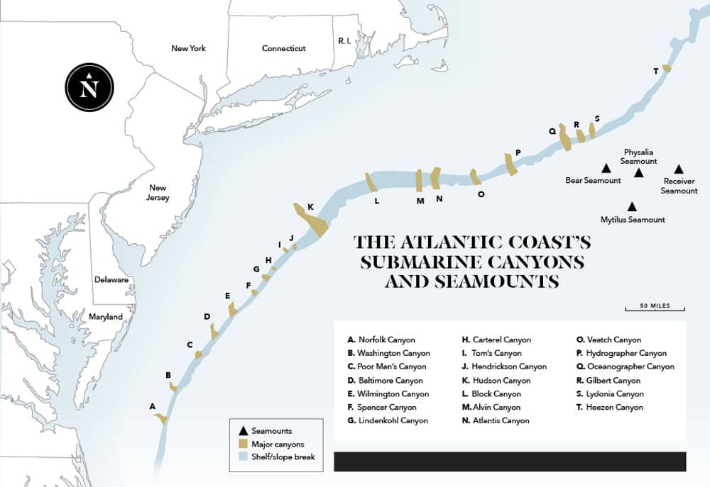 Atlantic Coast Submarine Canyons and Seamounts