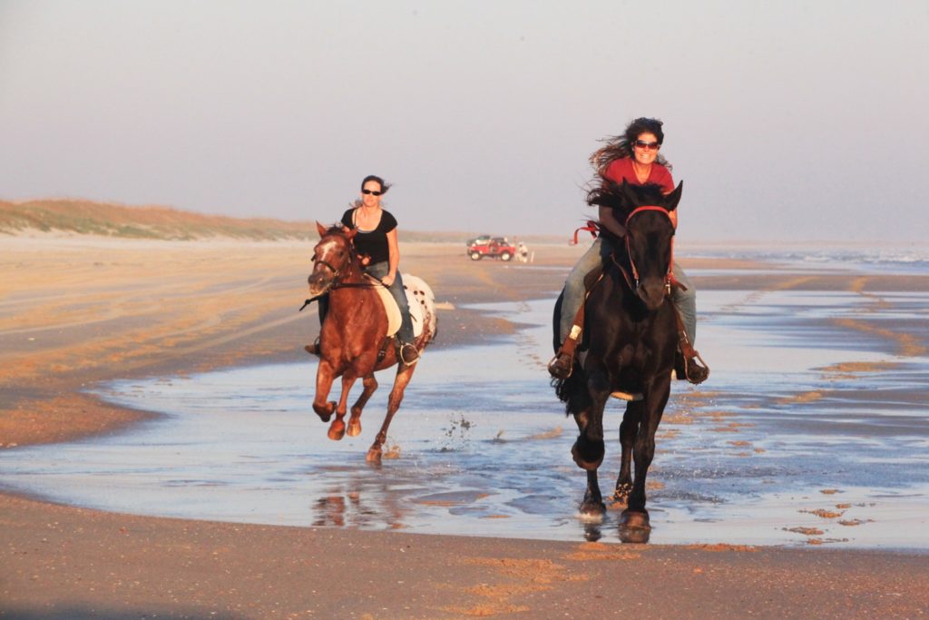 Fishing North Carolina's Outer Banks - plus horseback riding on the beach