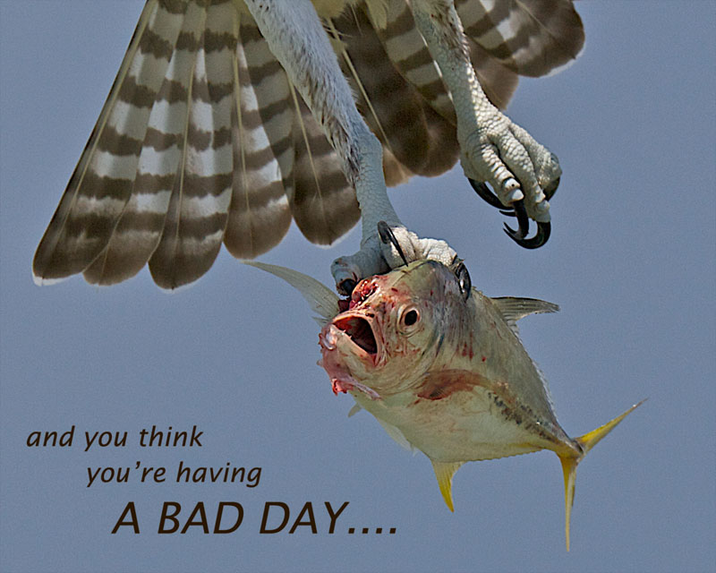 bad-day.jpg