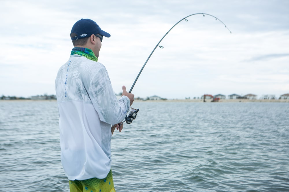 jack crevalle fight