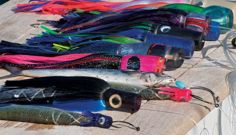 Bait Versus Plastic for Marlin Fishing