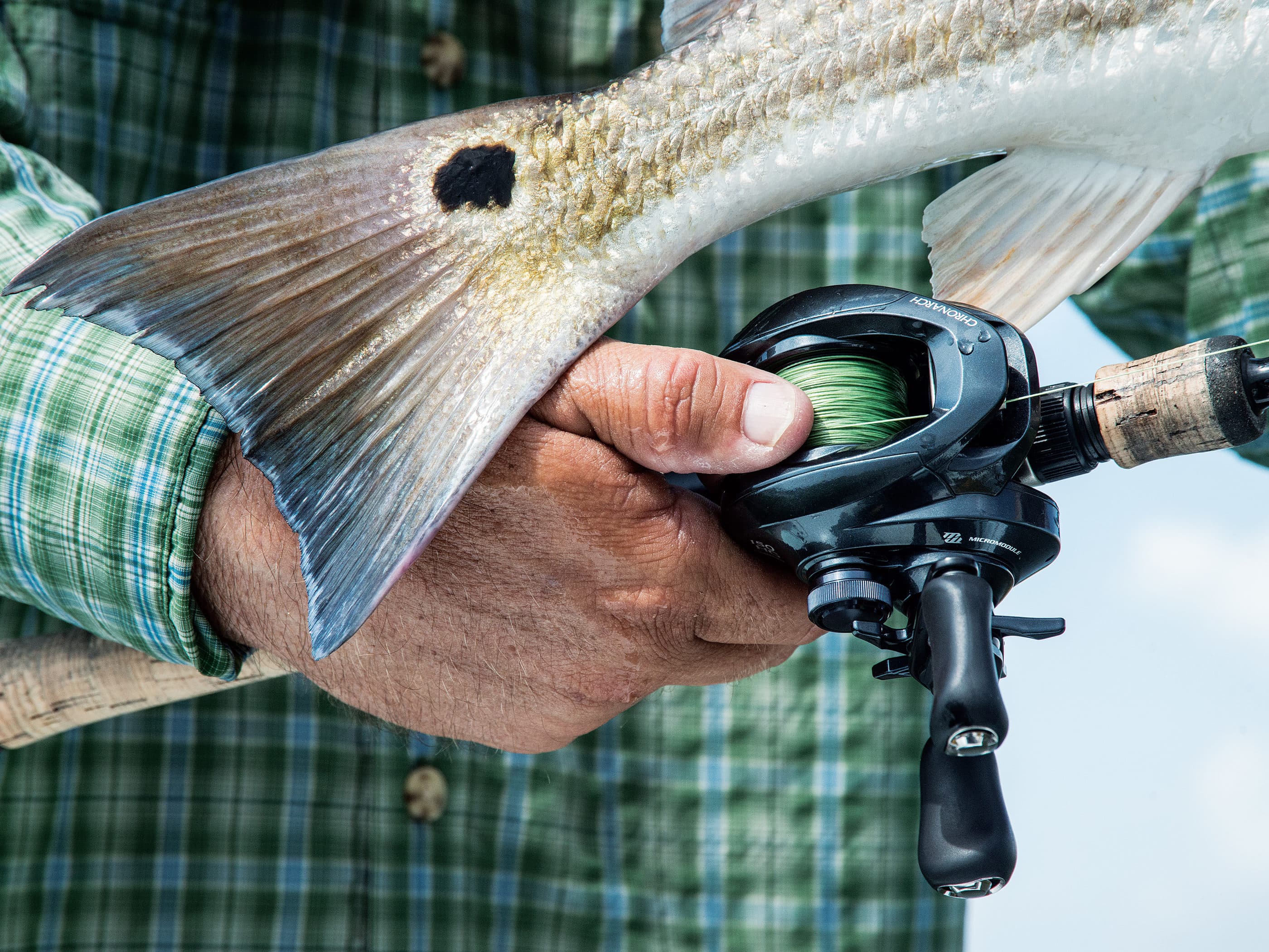 The difference between Spinning Reel and Baitcasting Reel