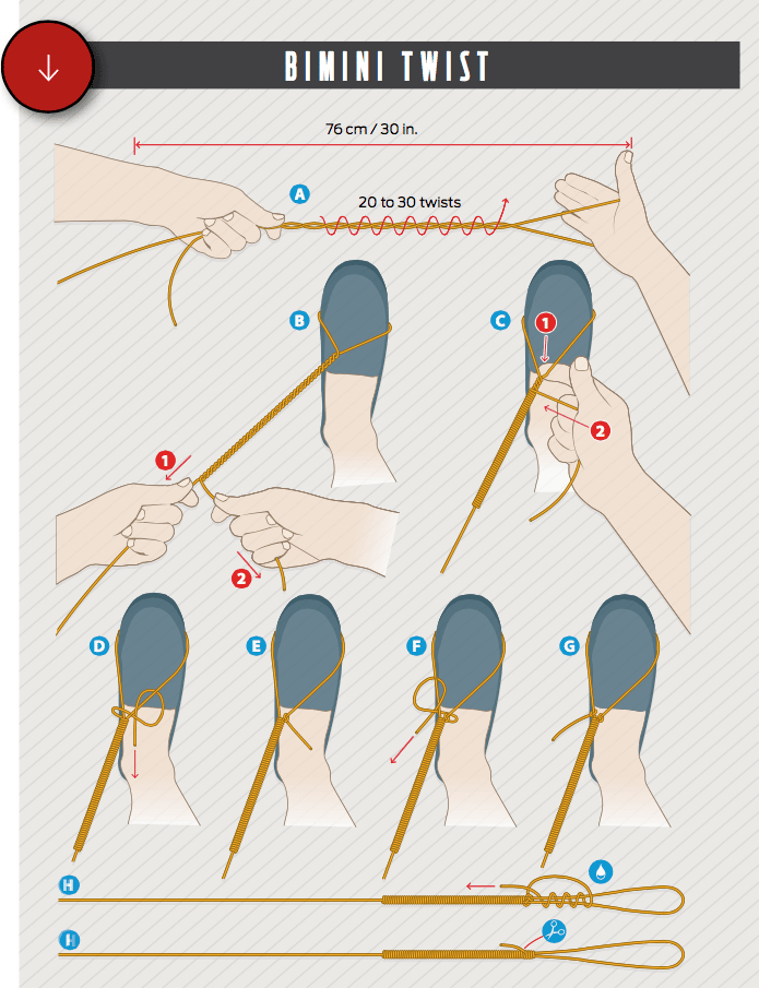 How to tie a Bimini twist fishing knot illustration