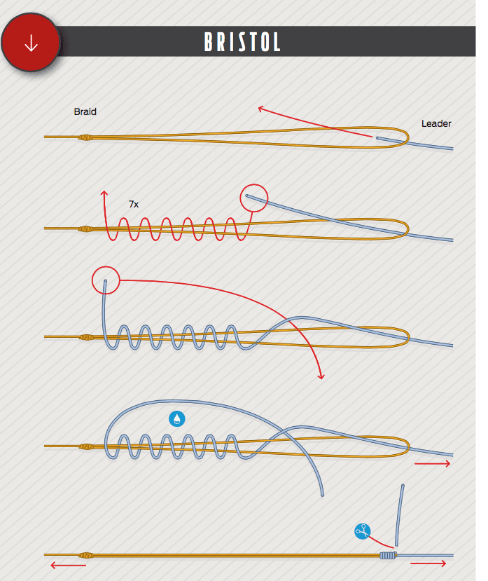 How to tie a bristol fishing knot illustration