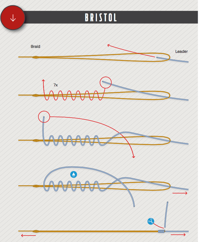 Best Fishing Knots Used by Captains