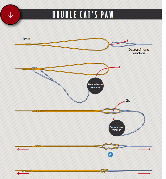 How to tie a double cat's-paw loop-to-loop connection fishing knot illustration
