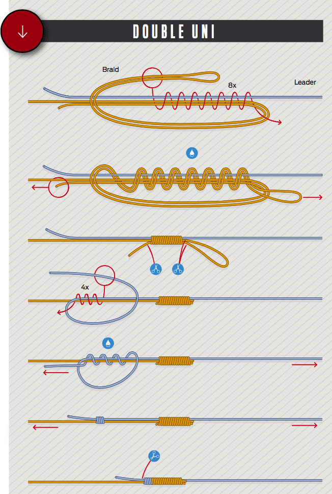 Best Fishing Knots Used by Captains