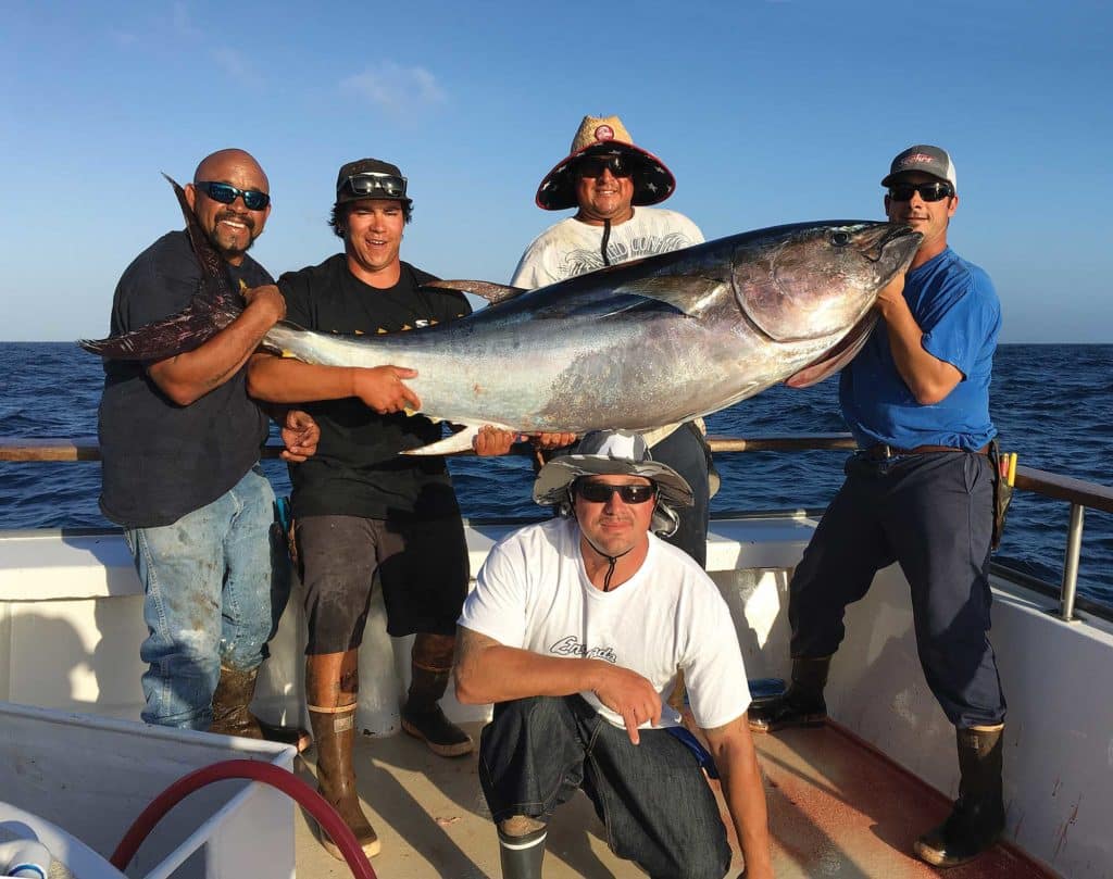 Pacific bluefin tuna catch off California