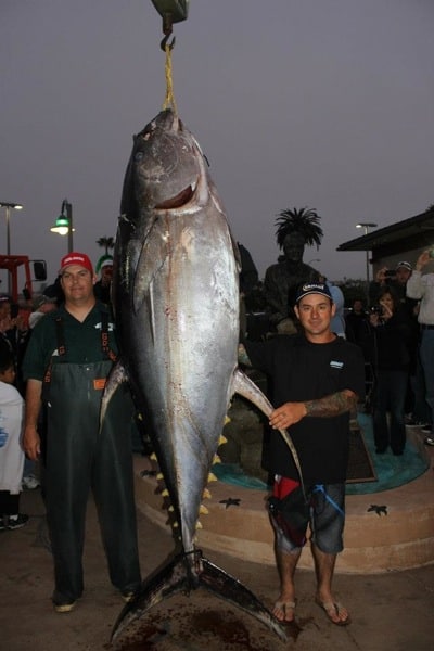 biggest tuna