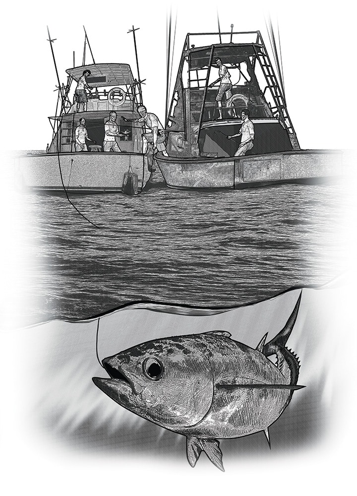 bigeye tuna catch world record