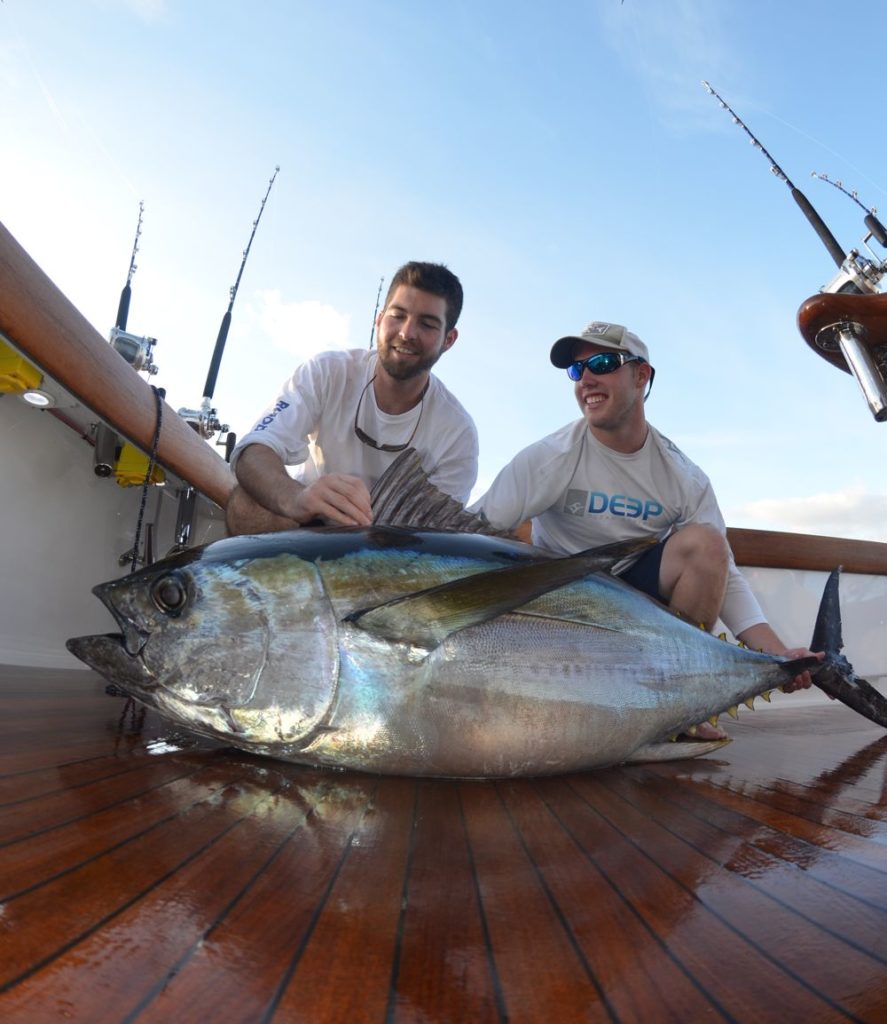 Bigeye tuna from an Atlantic canyon