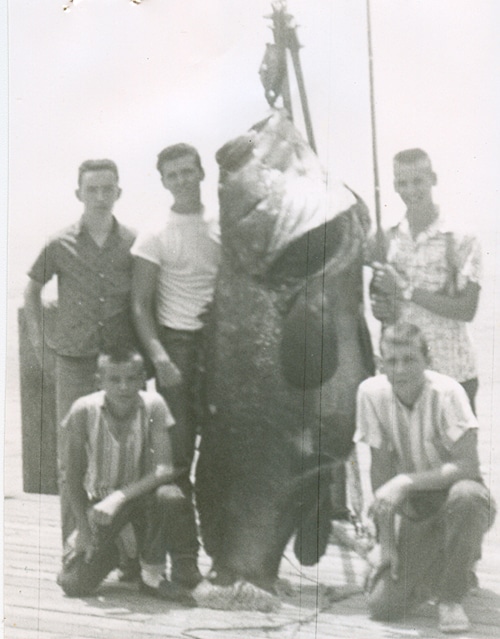 680-pound goliath grouper aka jewfish