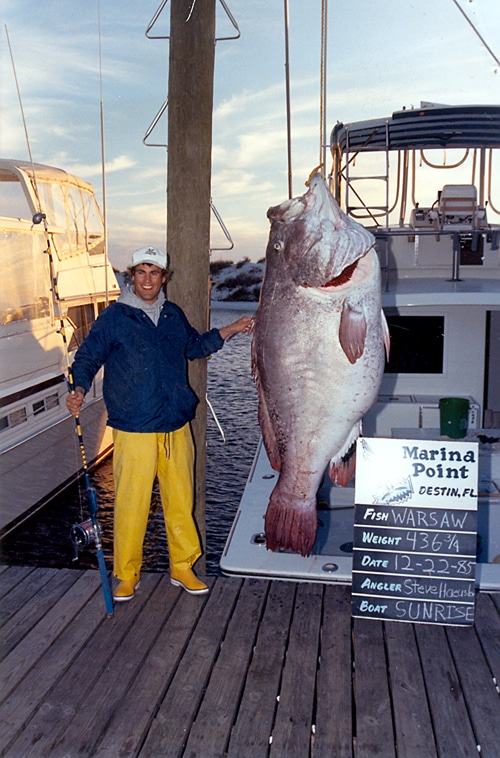 436-pound, 12-ounce all-tackle world-record warsaw grouper