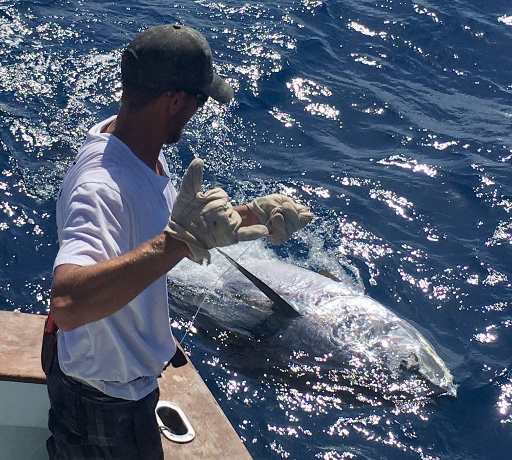 Giant bluefin tuna caught on Florida Keys reef