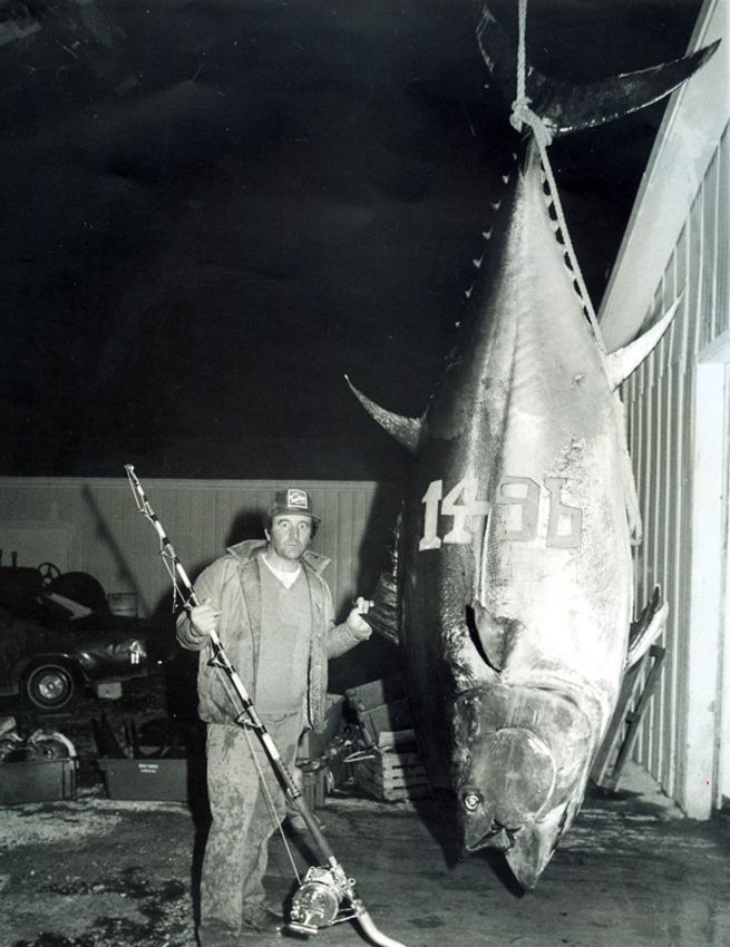 The world-record giant bluefin tuna