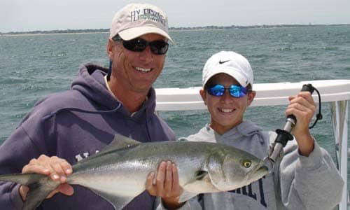 Stop the Bluefish Quota Transfer