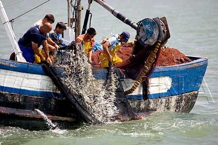 boat.oceana.juancarloscalvin.jpg