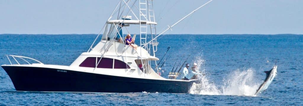 Capt Brad Philipps - record for billfish releases