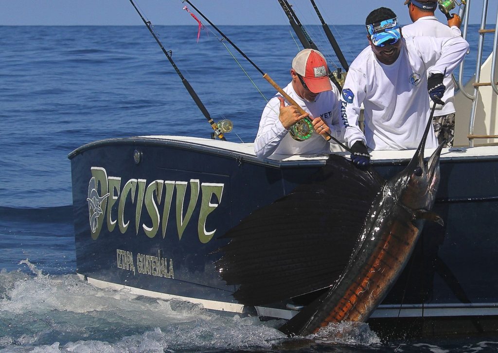 Capt Brad Philipps - record for billfish releases, sailfish at the boat