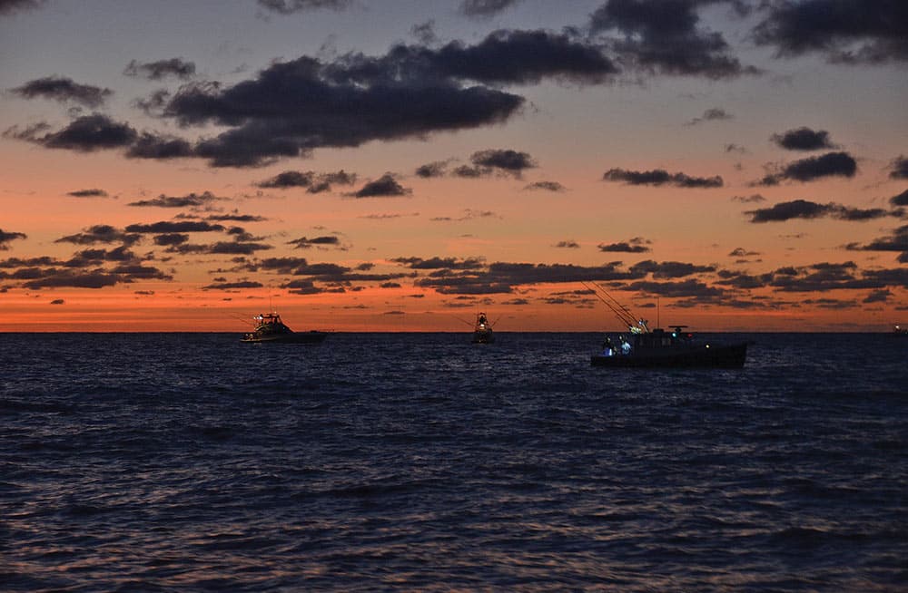 Boats at Sunset Canyons