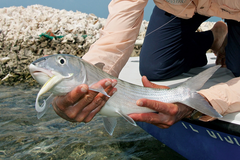 bonefish caught fishing artificial soft bait tackle
