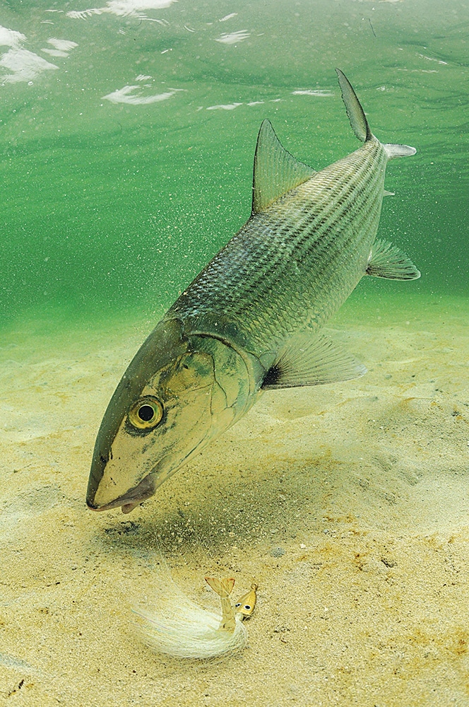 underwater bonefish caught fishing artificial flats jig