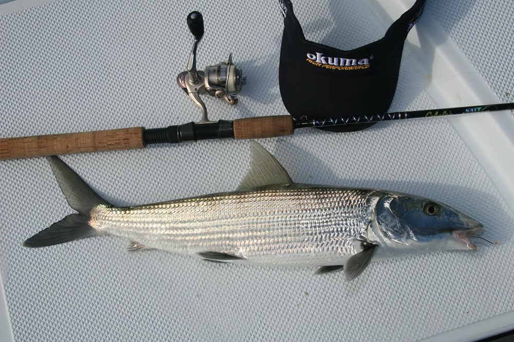 okuma bonefish