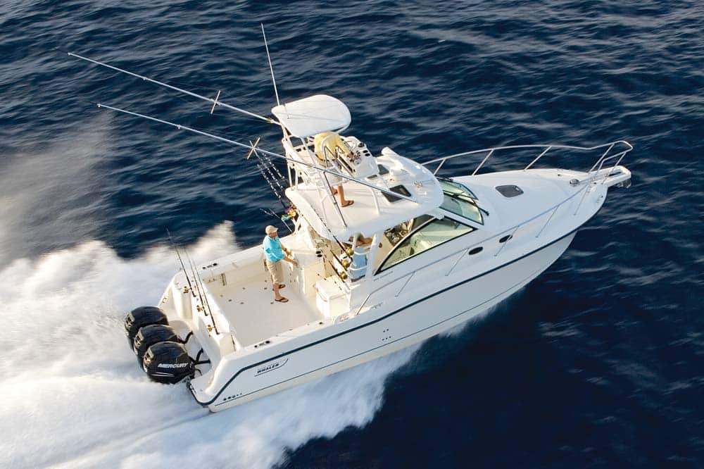 Boston Whaler 345