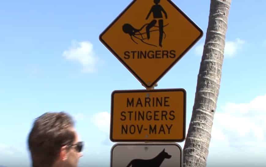 Oz sign warning of box jellyfish danger