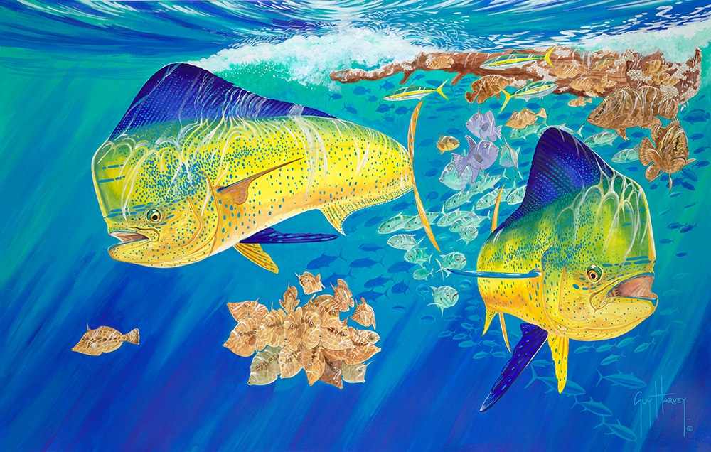 Guy Harvey painting breaking away