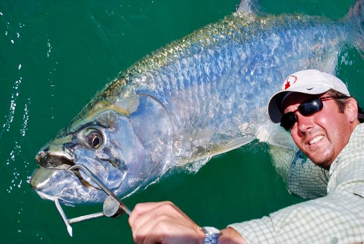 big tarpon