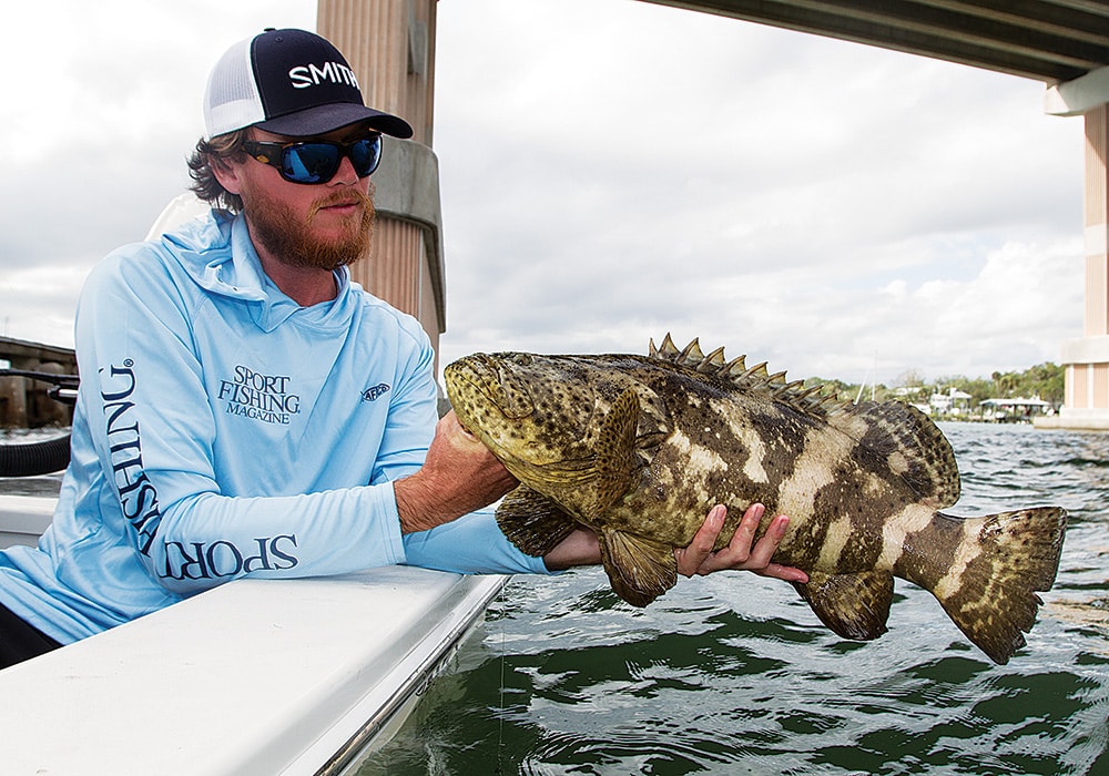 juvenile goliath grouper fishing bridge piling inshore saltwater