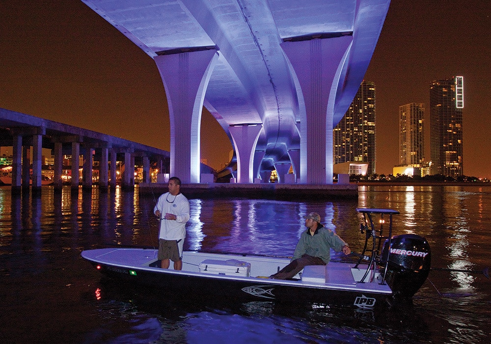 night bridge fishing pilings inshore saltwater
