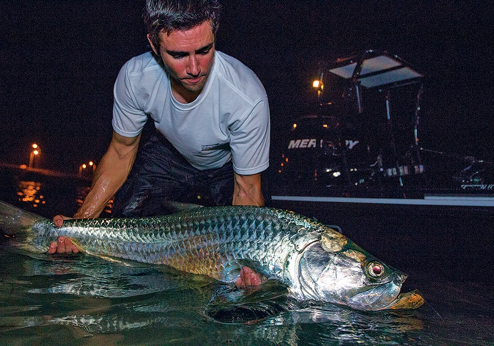 tarpon night fishing bridges inshore saltwater