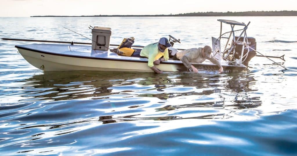 tarpon acoustic tagging program