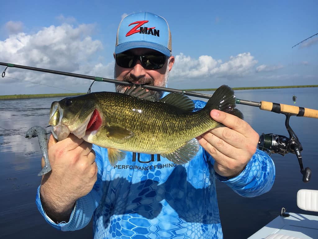 Louisiana marsh largemouth bass