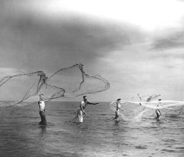 Vintage Florida fishing photo cast netting fishermen anglers